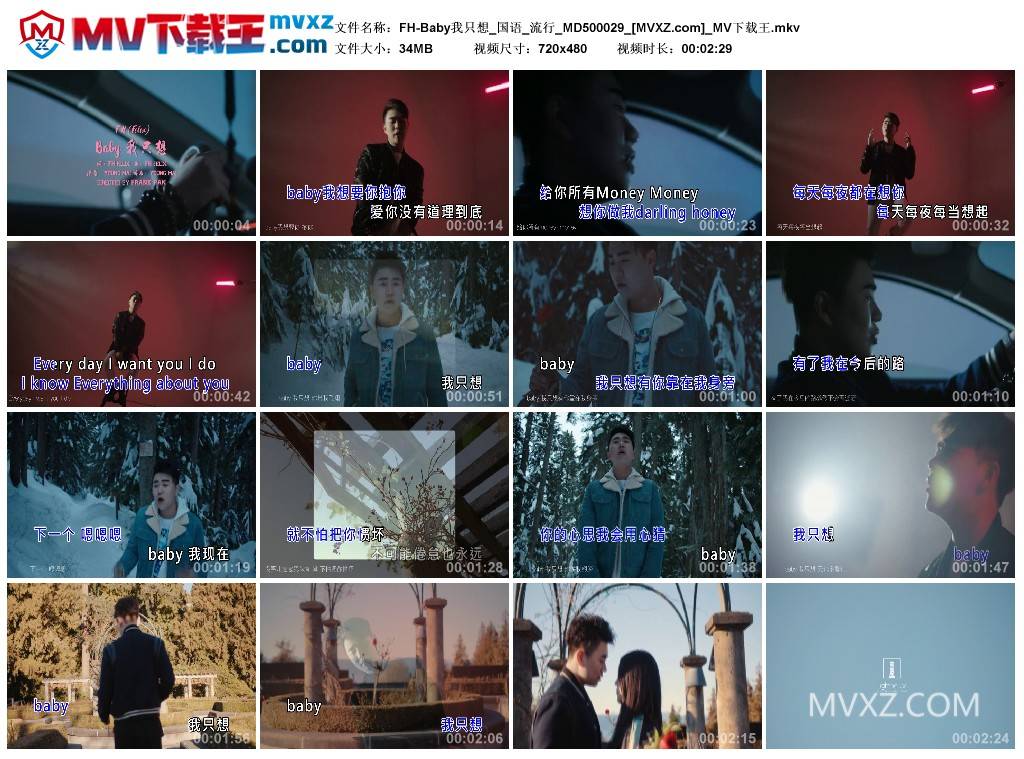 FH-Baby我只想_国语_流行_MD500029